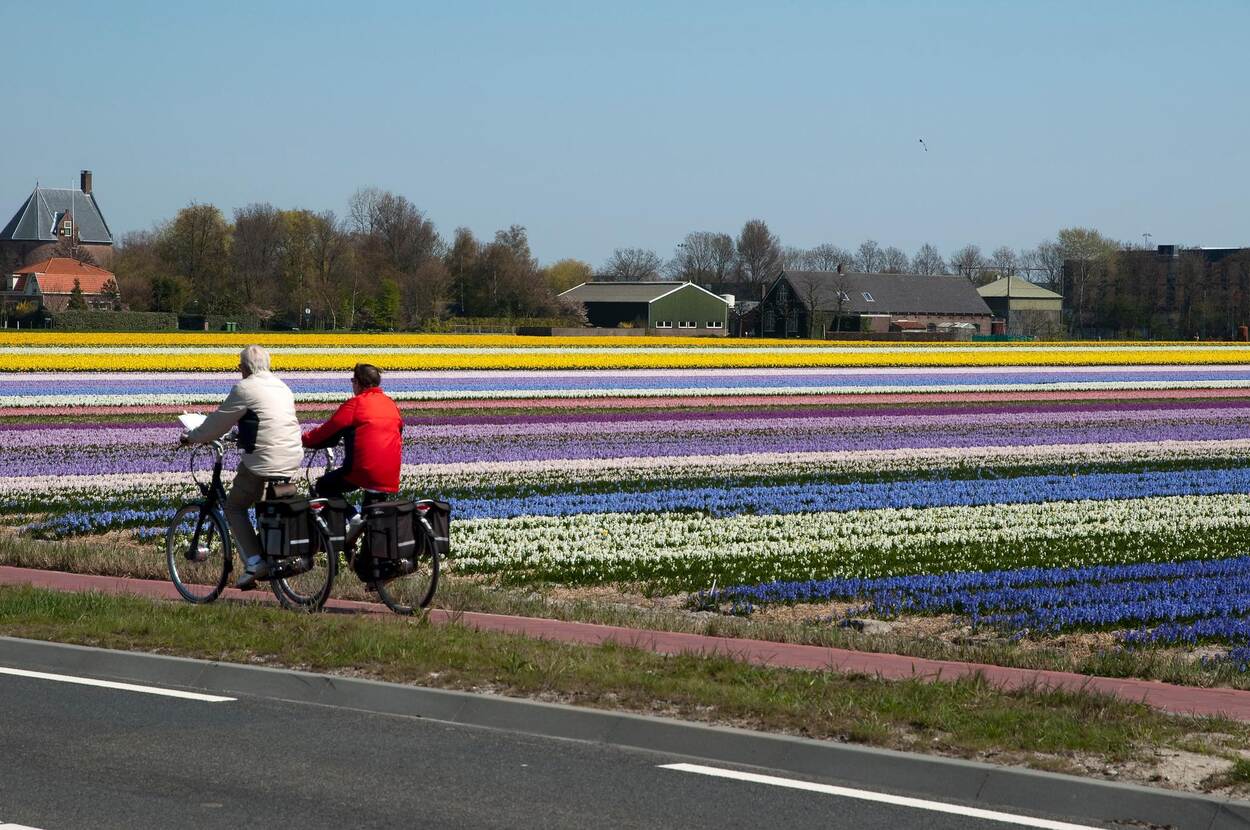 The Dutch are satisfied with their lives, but they are worried about the Netherlands.  What's up with that?  |  News article